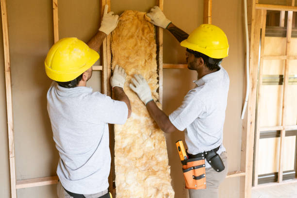Best Home Insulation Services  in Hallam, PA